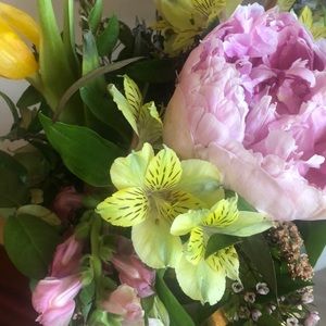 Meet your Posher, Leia